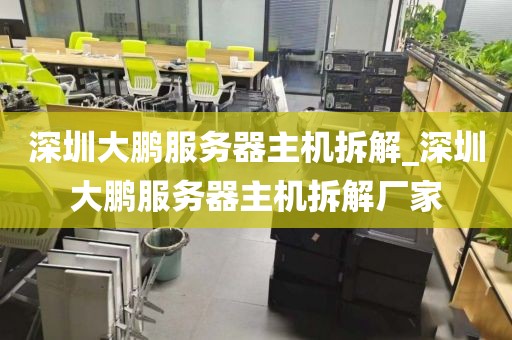 深圳大鹏服务器主机拆解_深圳大鹏服务器主机拆解厂家