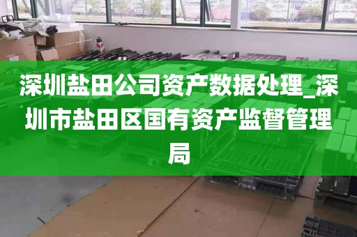 深圳盐田公司资产数据处理_深圳市盐田区国有资产监督管理局